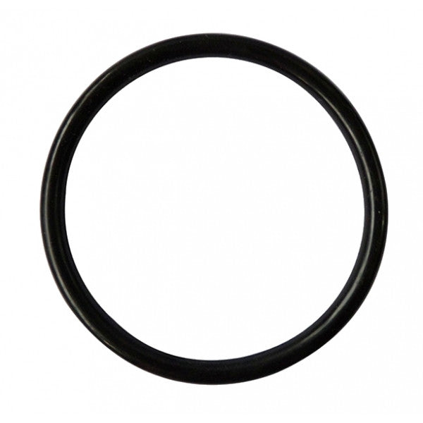 Keg Lid O Ring Noble Grape