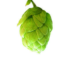 Hops - East Kent Goldings Leaf - Noble Grape