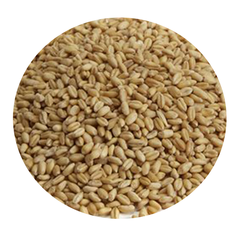 Raw Wheat Malt - Great Western (per lb)